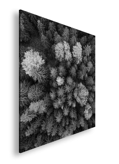 Hauptbild Schwarz & Weiß Quadratisch