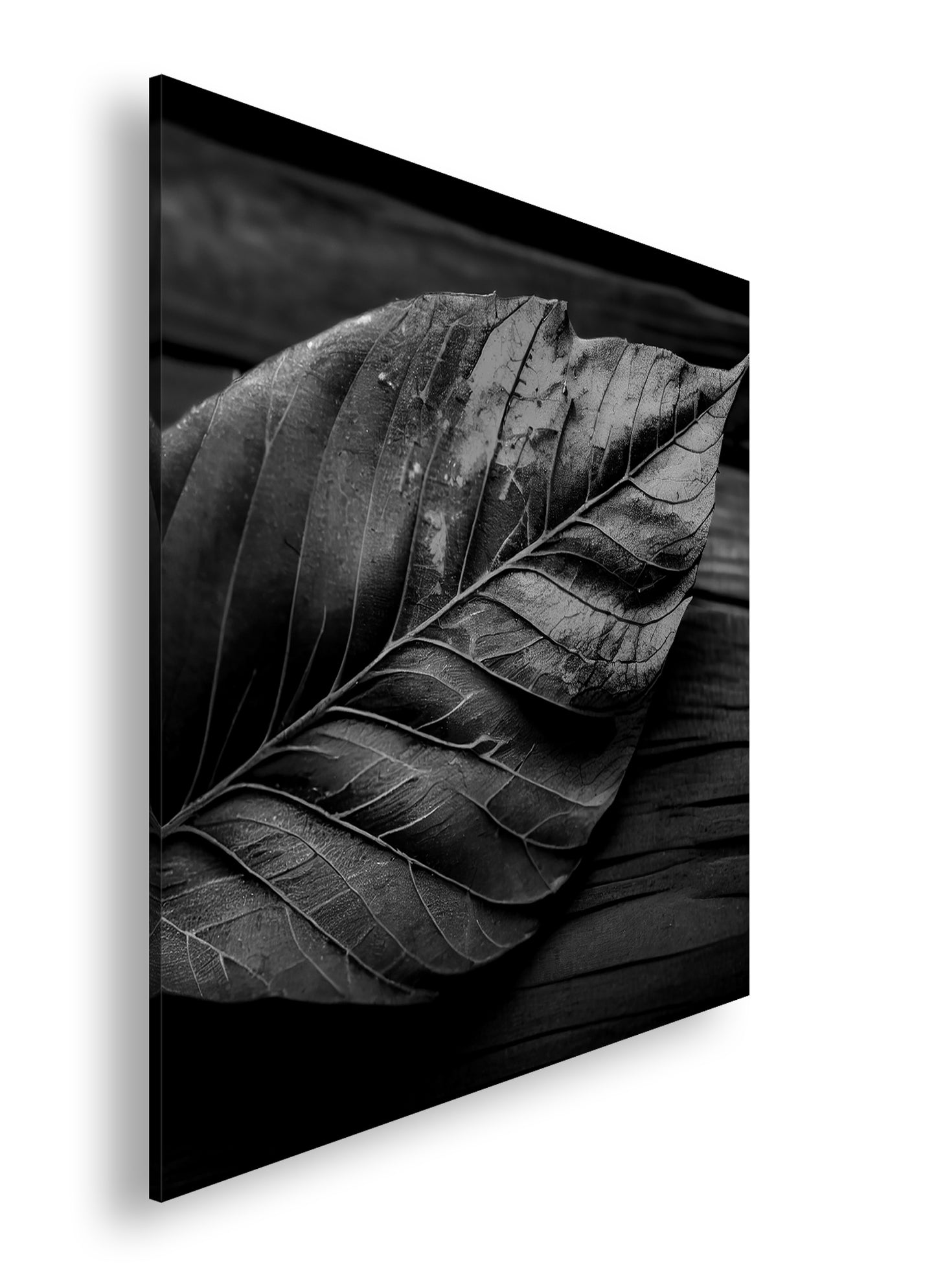 Hauptbild Schwarz & Weiß Quadratisch