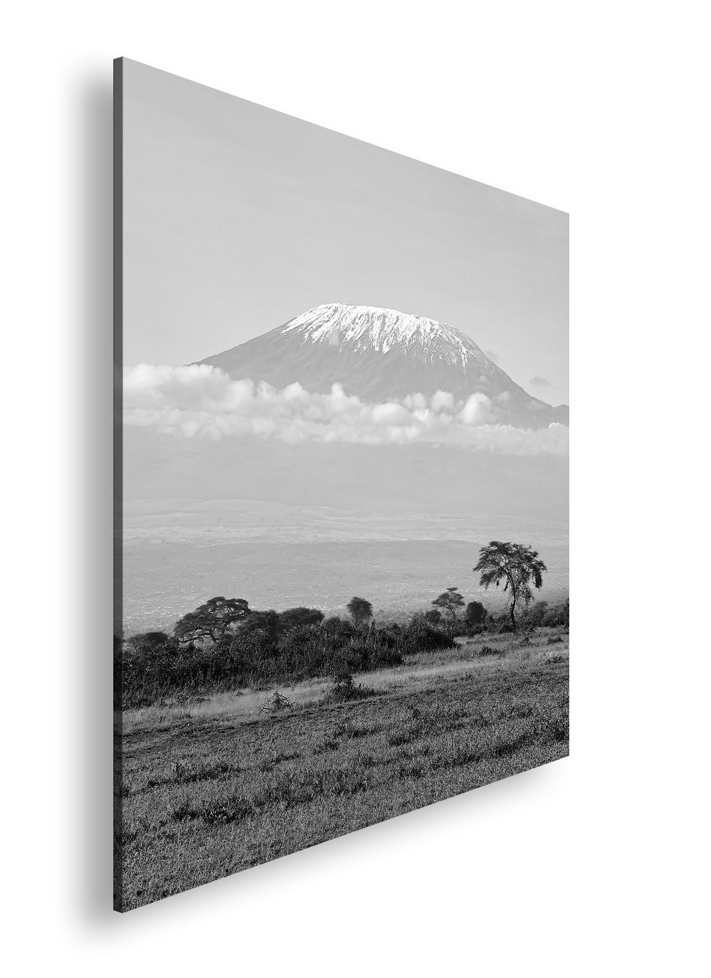 Hauptbild Schwarz & Weiß Quadratisch