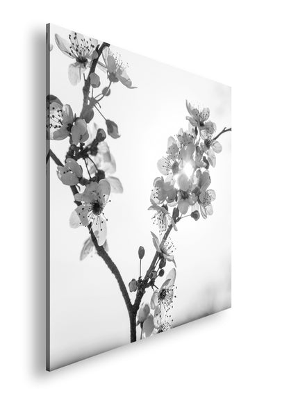 Hauptbild Schwarz & Weiß Quadratisch