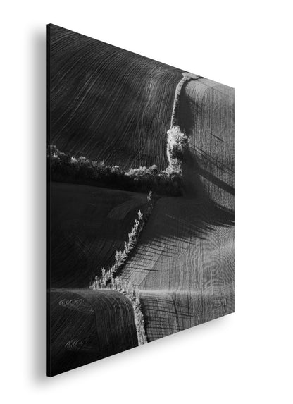 Hauptbild Schwarz & Weiß Quadratisch