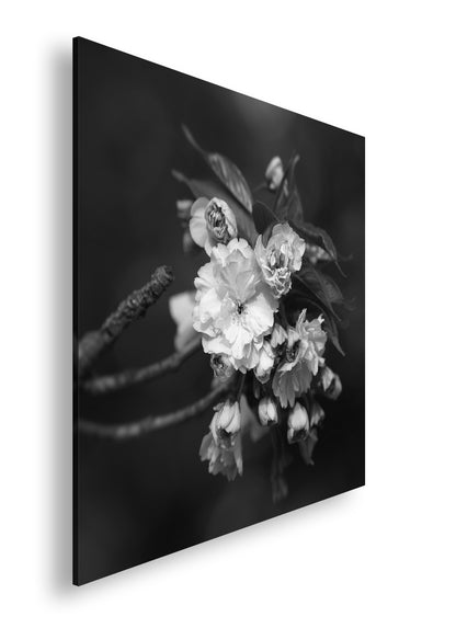 Hauptbild Schwarz & Weiß Quadratisch