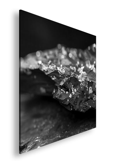 Hauptbild Schwarz & Weiß Quadratisch