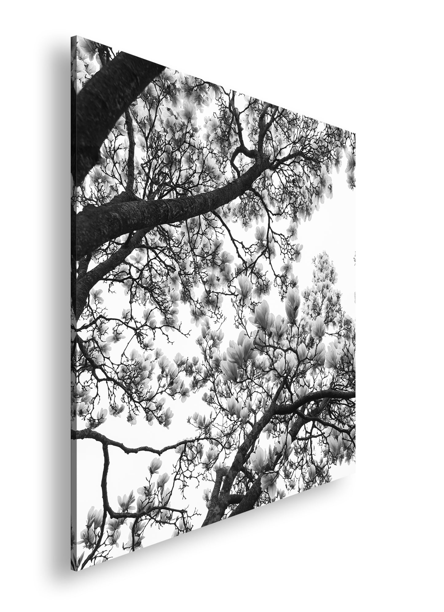 Hauptbild Schwarz & Weiß Quadratisch