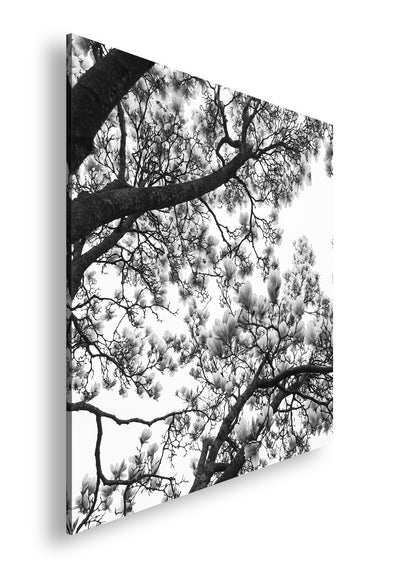 Hauptbild Schwarz & Weiß Quadratisch