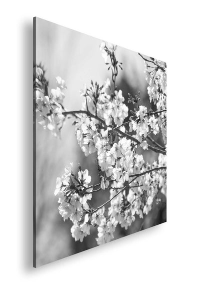 Hauptbild Schwarz & Weiß Quadratisch