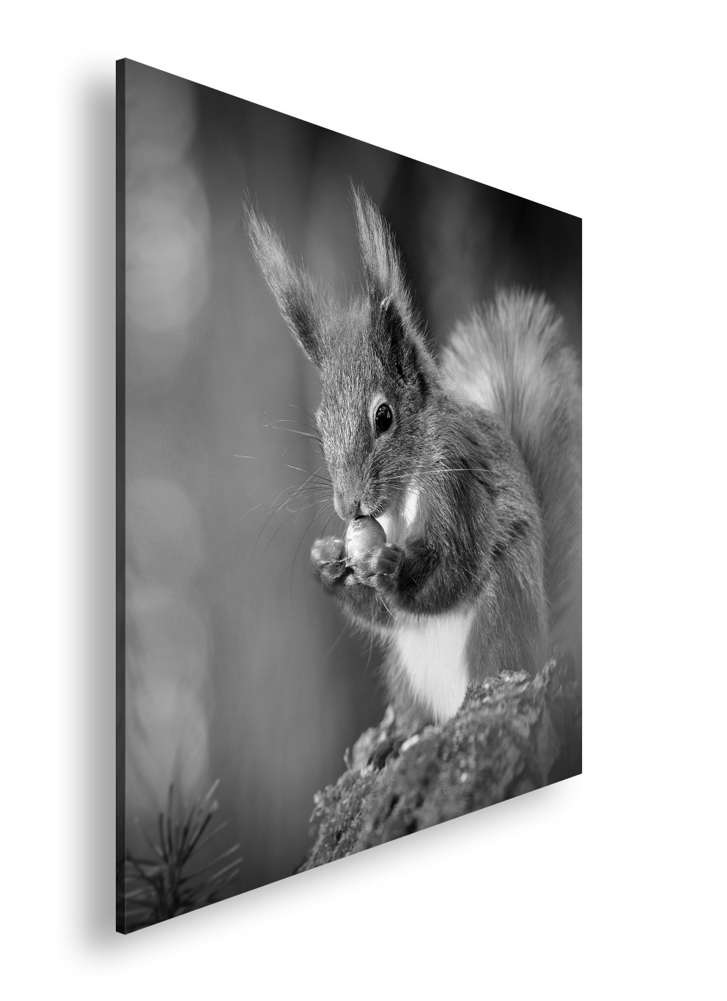 Hauptbild Schwarz & Weiß Quadratisch