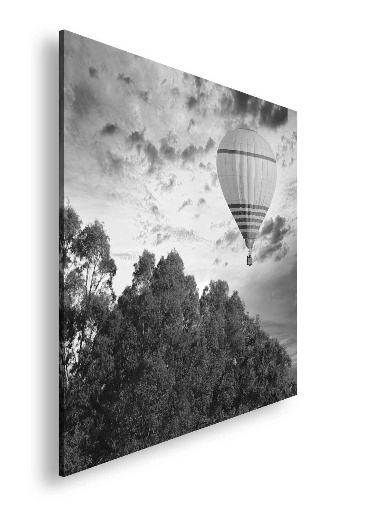 Hauptbild Schwarz & Weiß Quadratisch