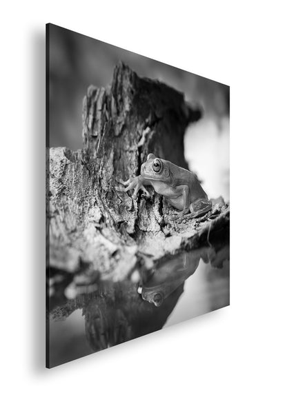 Hauptbild Schwarz & Weiß Quadratisch