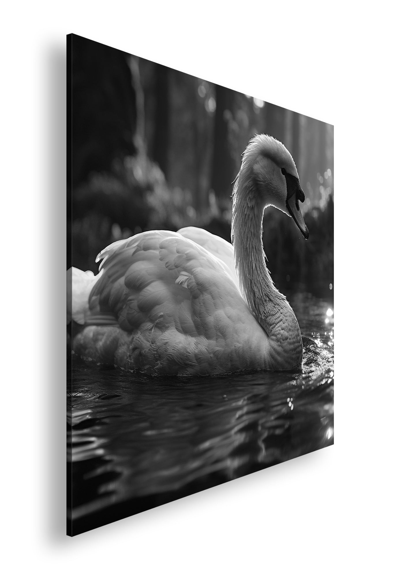 Hauptbild Schwarz & Weiß Quadratisch