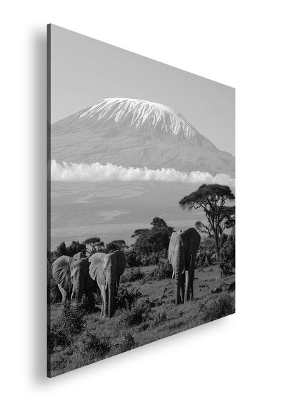 Hauptbild Schwarz & Weiß Quadratisch