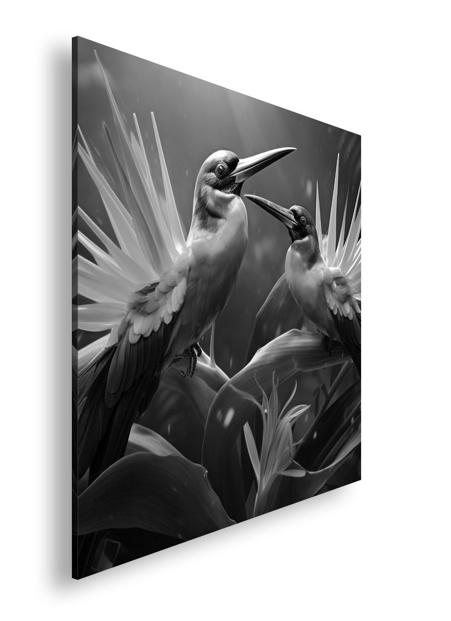 Hauptbild Schwarz & Weiß Quadratisch