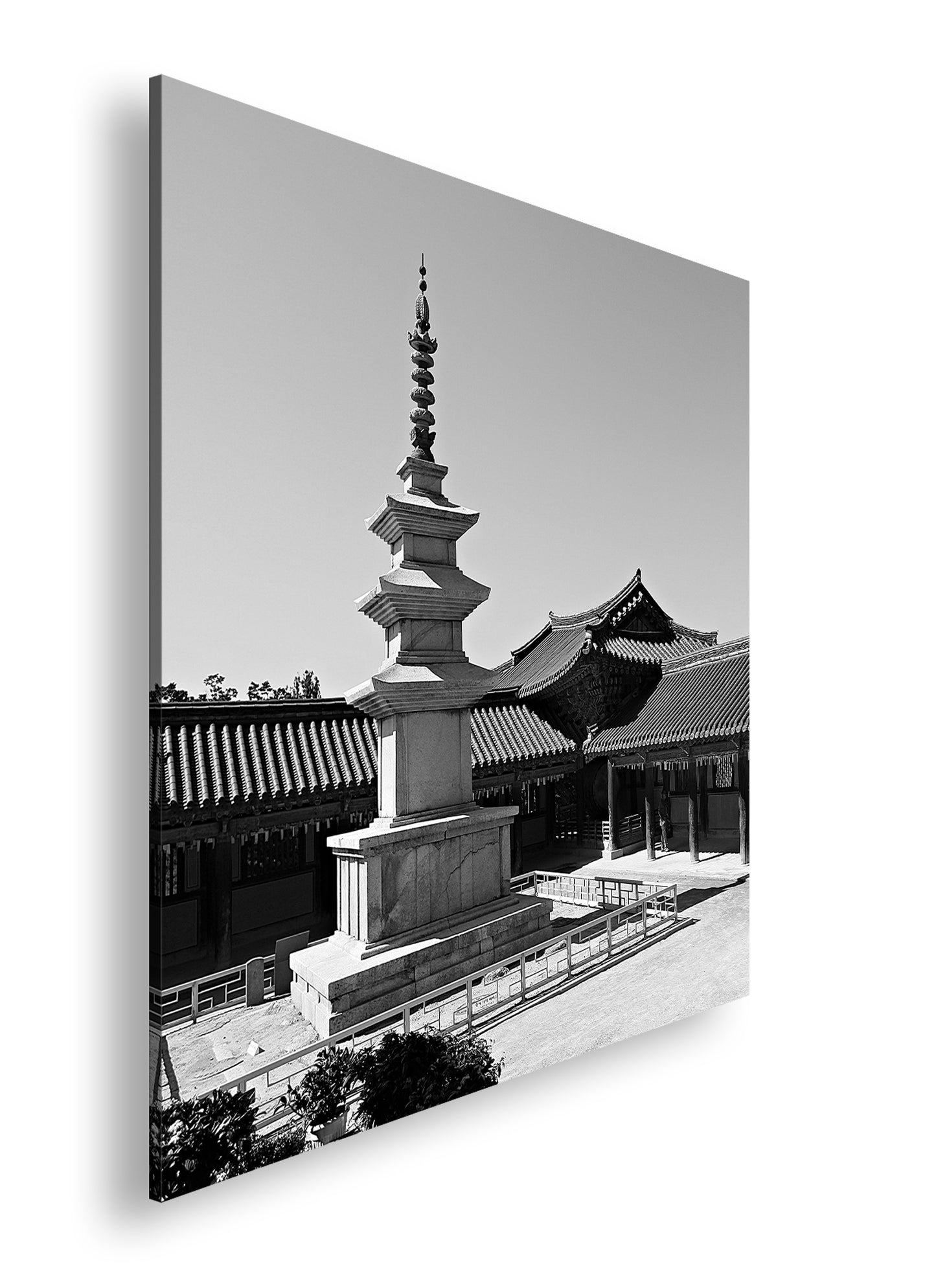 Hauptbild Schwarz & Weiß Quadratisch