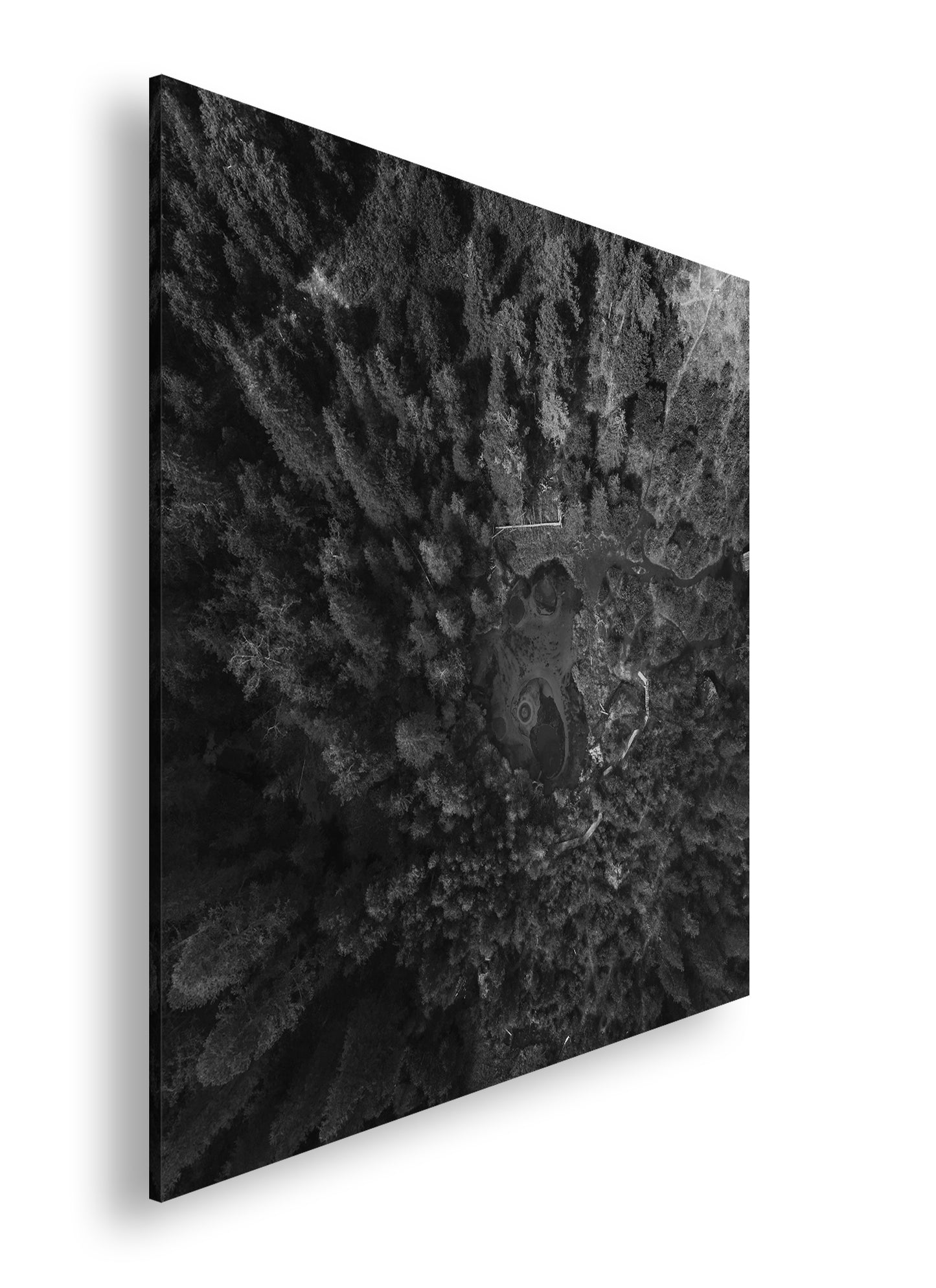 Hauptbild Schwarz & Weiß Quadratisch