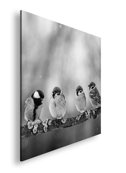 Hauptbild Schwarz & Weiß Quadratisch