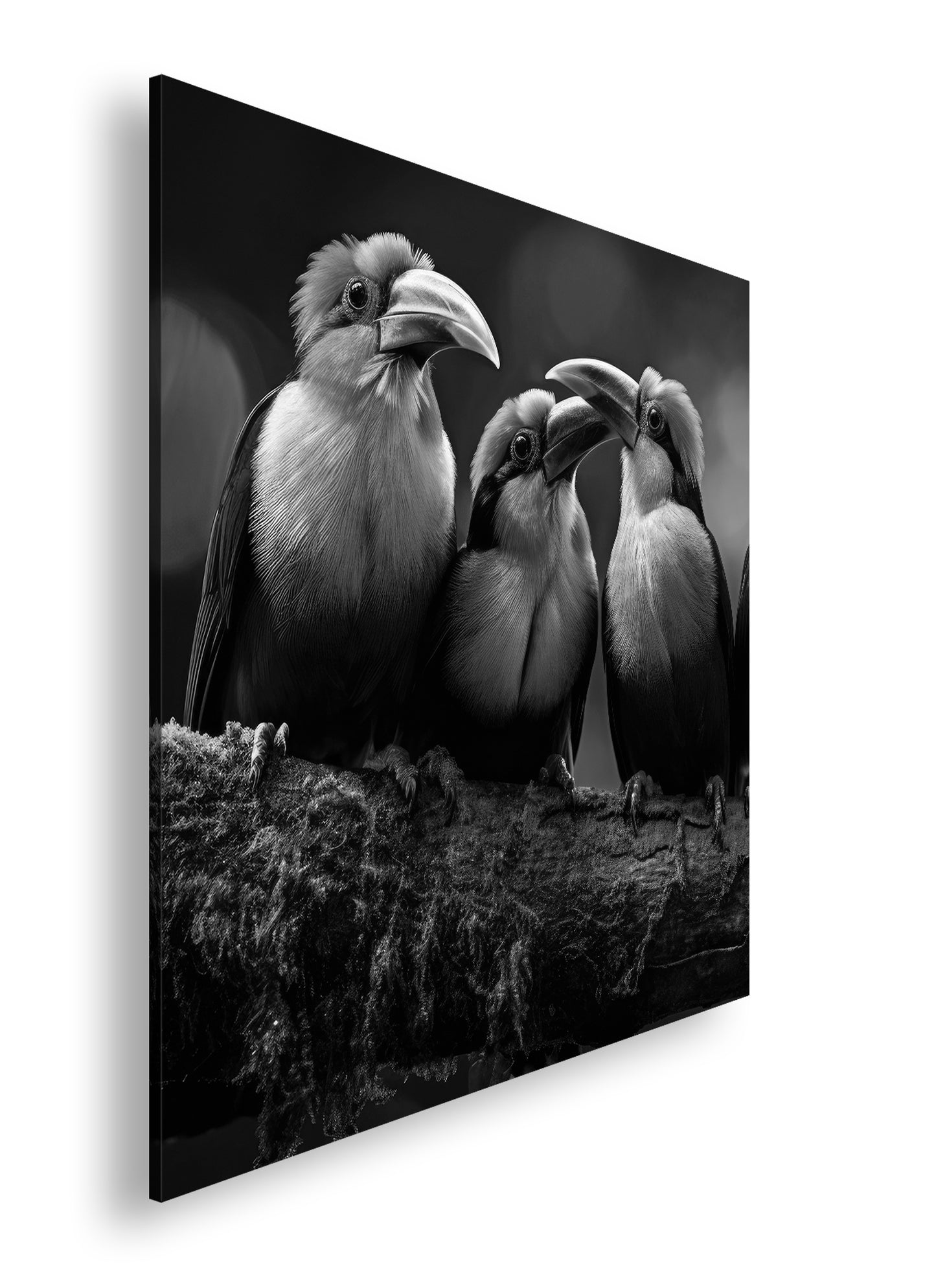 Hauptbild Schwarz & Weiß Quadratisch