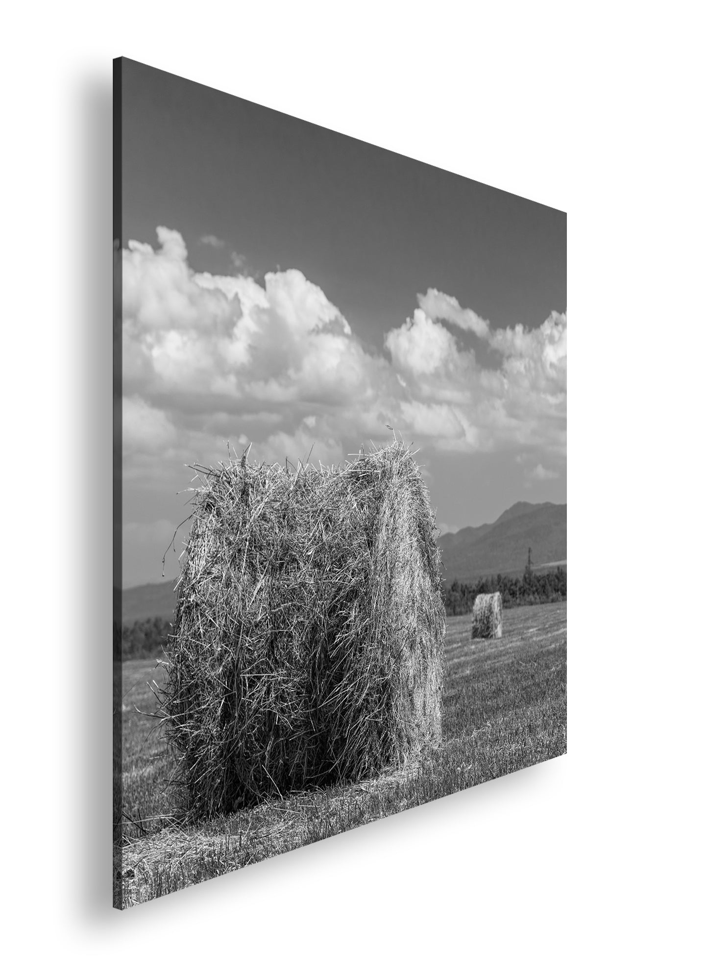 Hauptbild Schwarz & Weiß Quadratisch