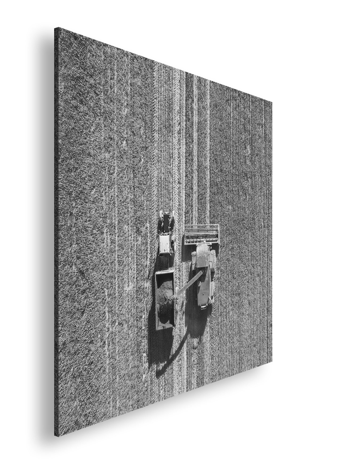 Hauptbild Schwarz & Weiß Quadratisch