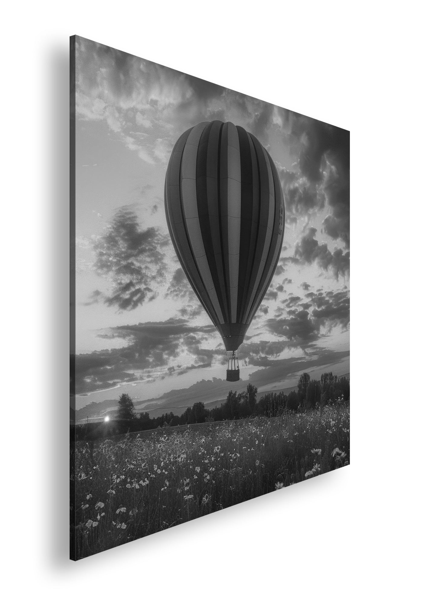 Hauptbild Schwarz & Weiß Quadratisch