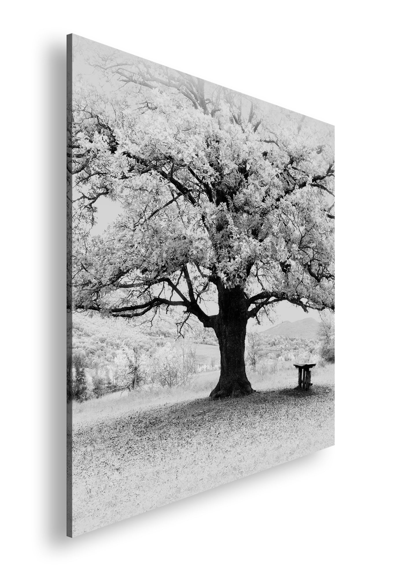 Hauptbild Schwarz & Weiß Quadratisch