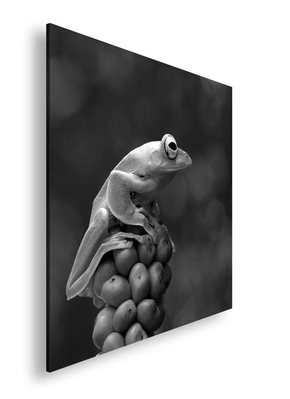 Hauptbild Schwarz & Weiß Quadratisch