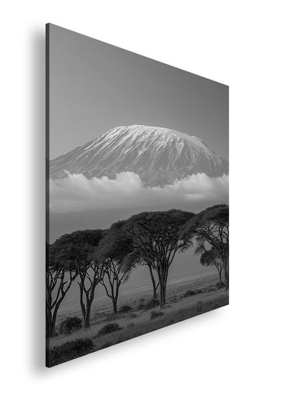 Hauptbild Schwarz & Weiß Quadratisch