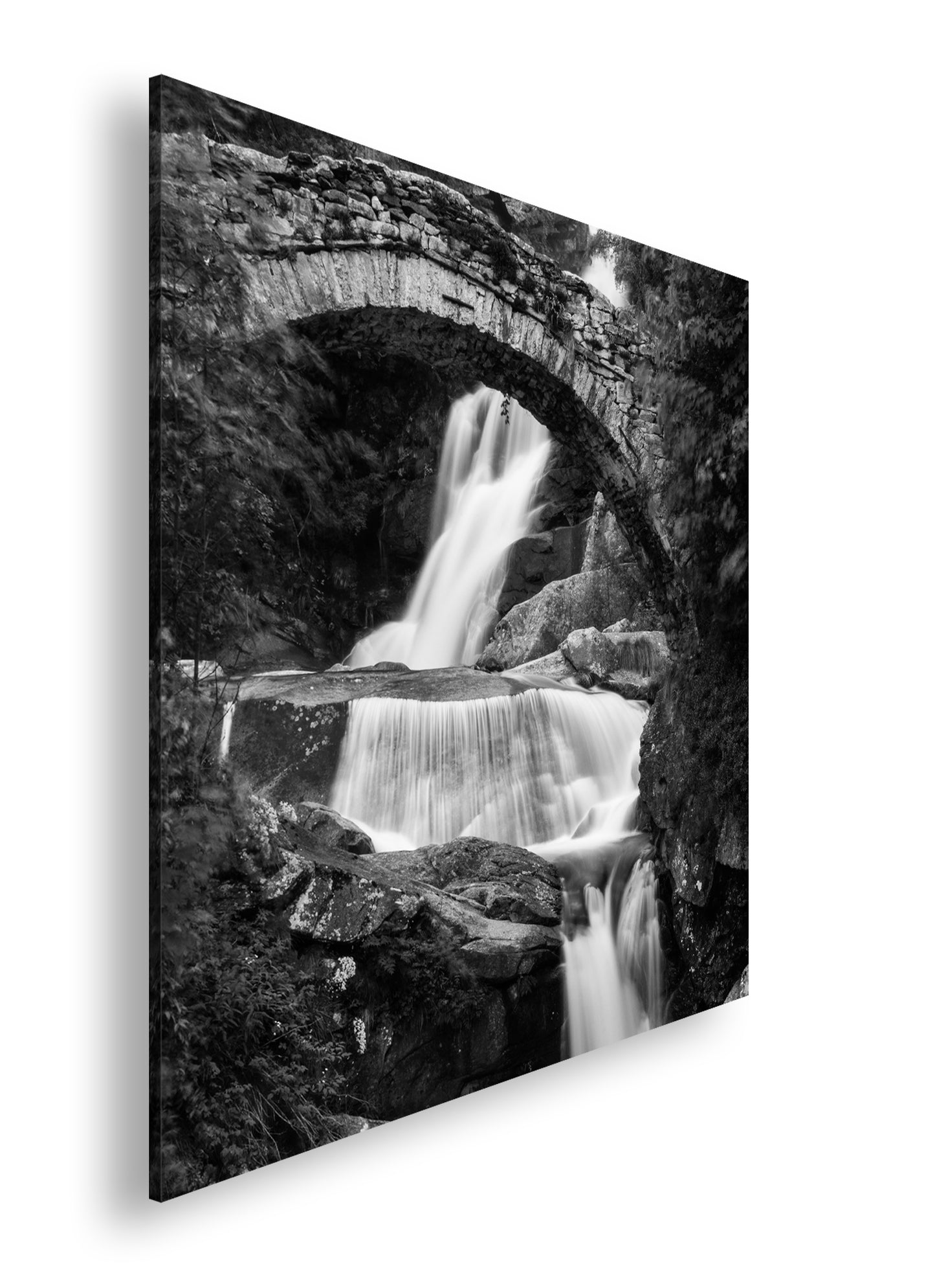 Hauptbild Schwarz & Weiß Quadratisch