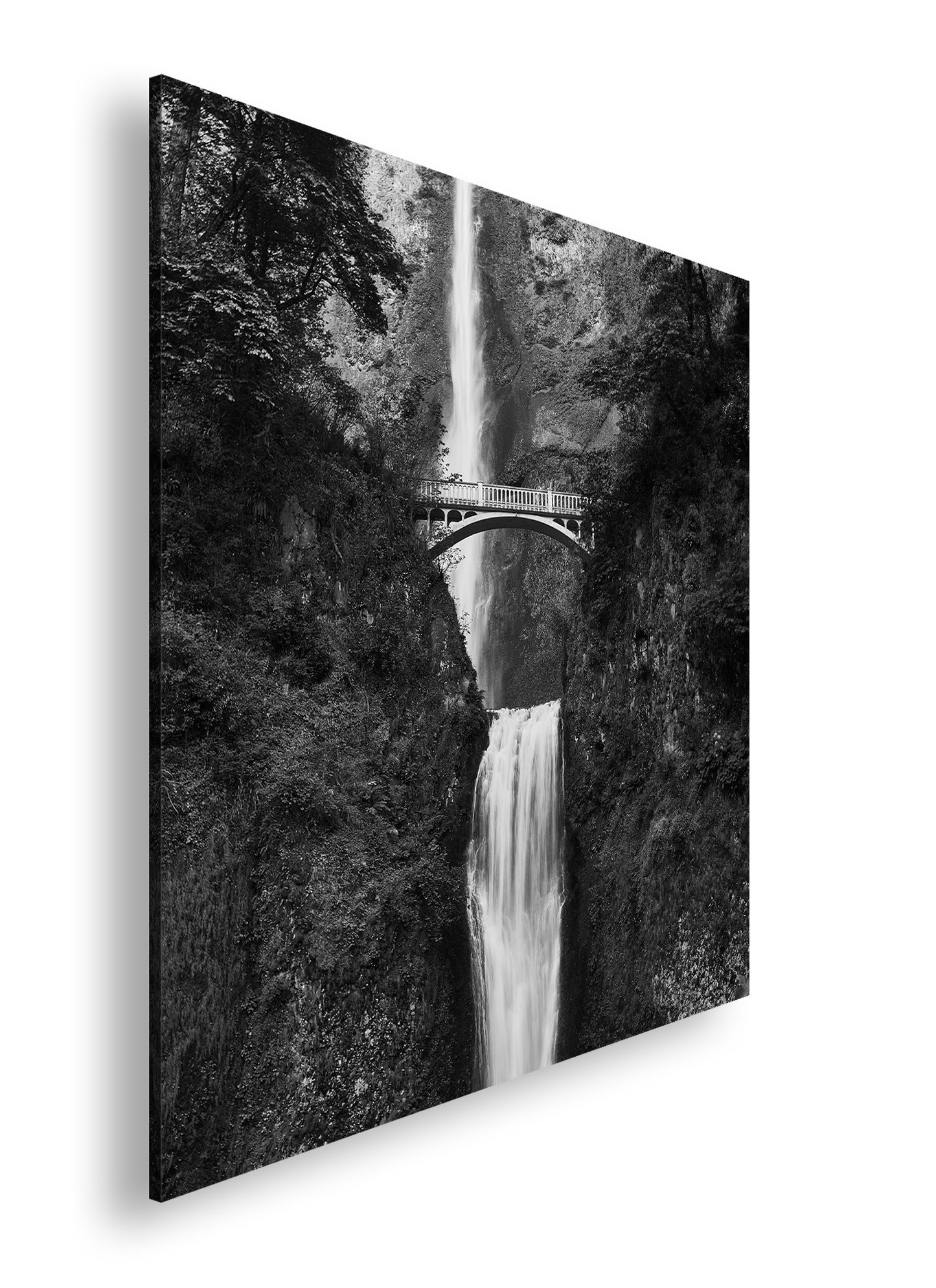 Hauptbild Schwarz & Weiß Quadratisch