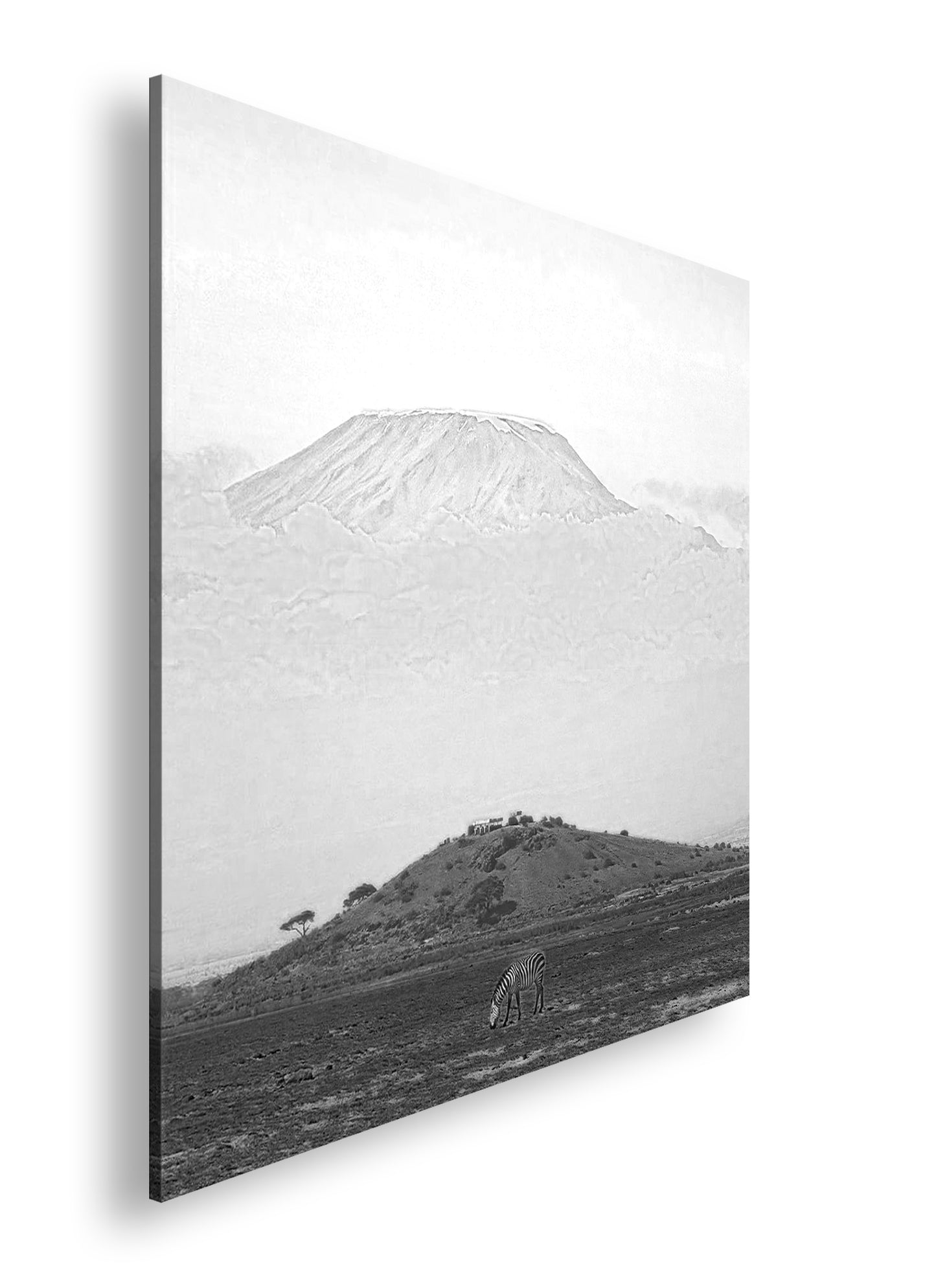 Hauptbild Schwarz & Weiß Quadratisch