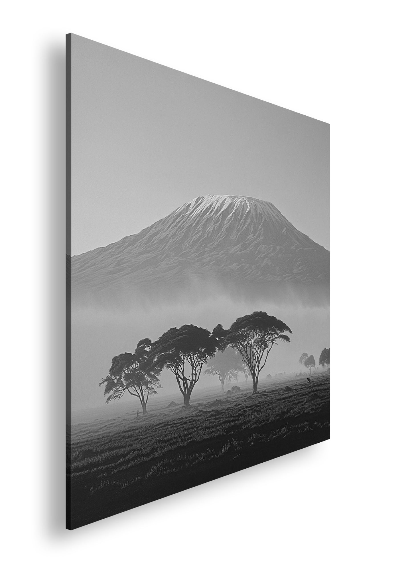 Hauptbild Schwarz & Weiß Quadratisch