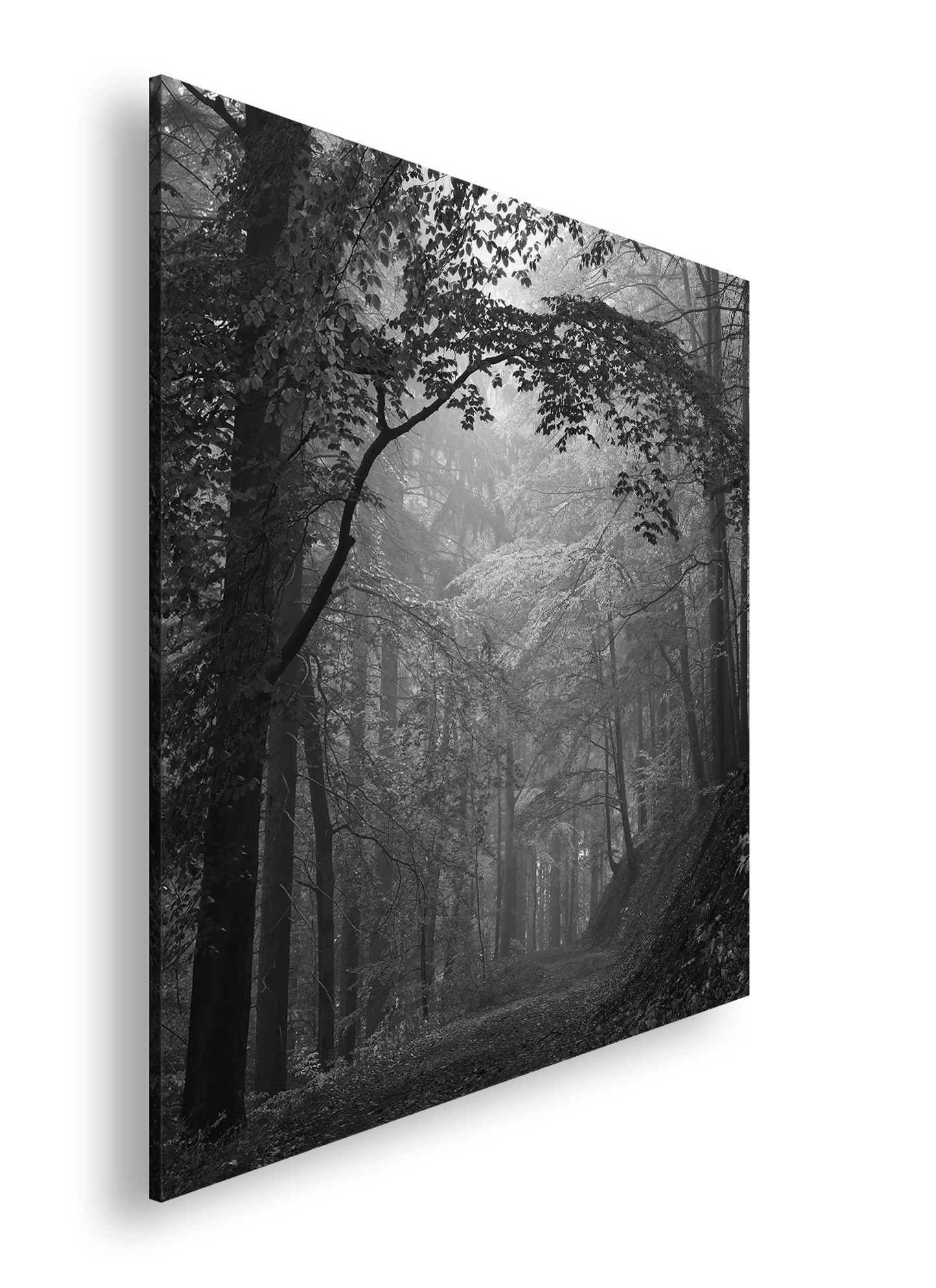 Hauptbild Schwarz & Weiß Quadratisch