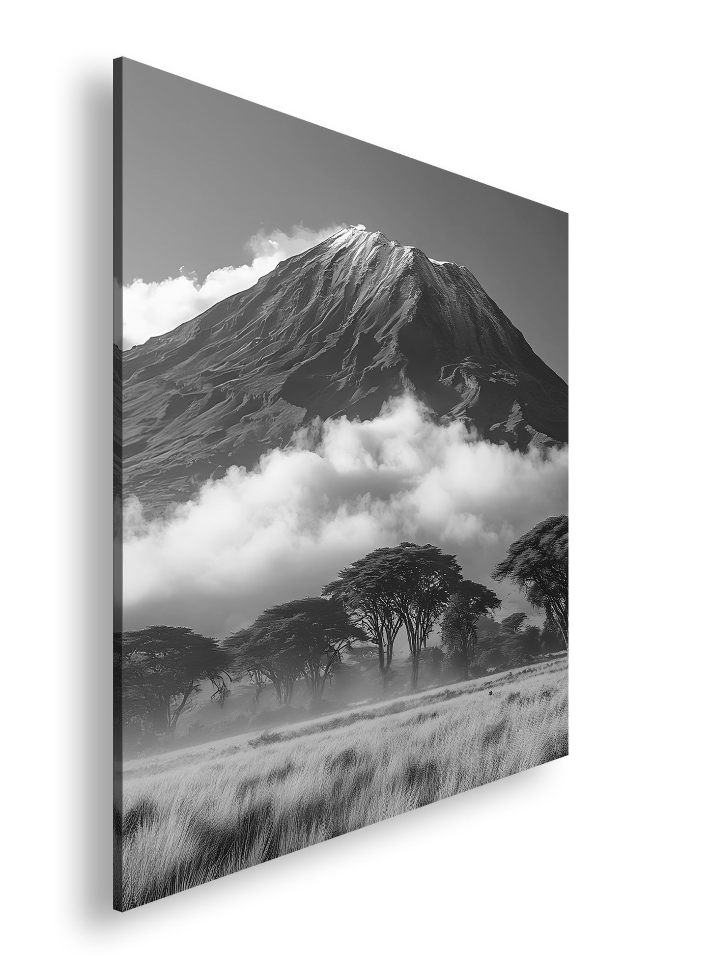 Hauptbild Schwarz & Weiß Quadratisch