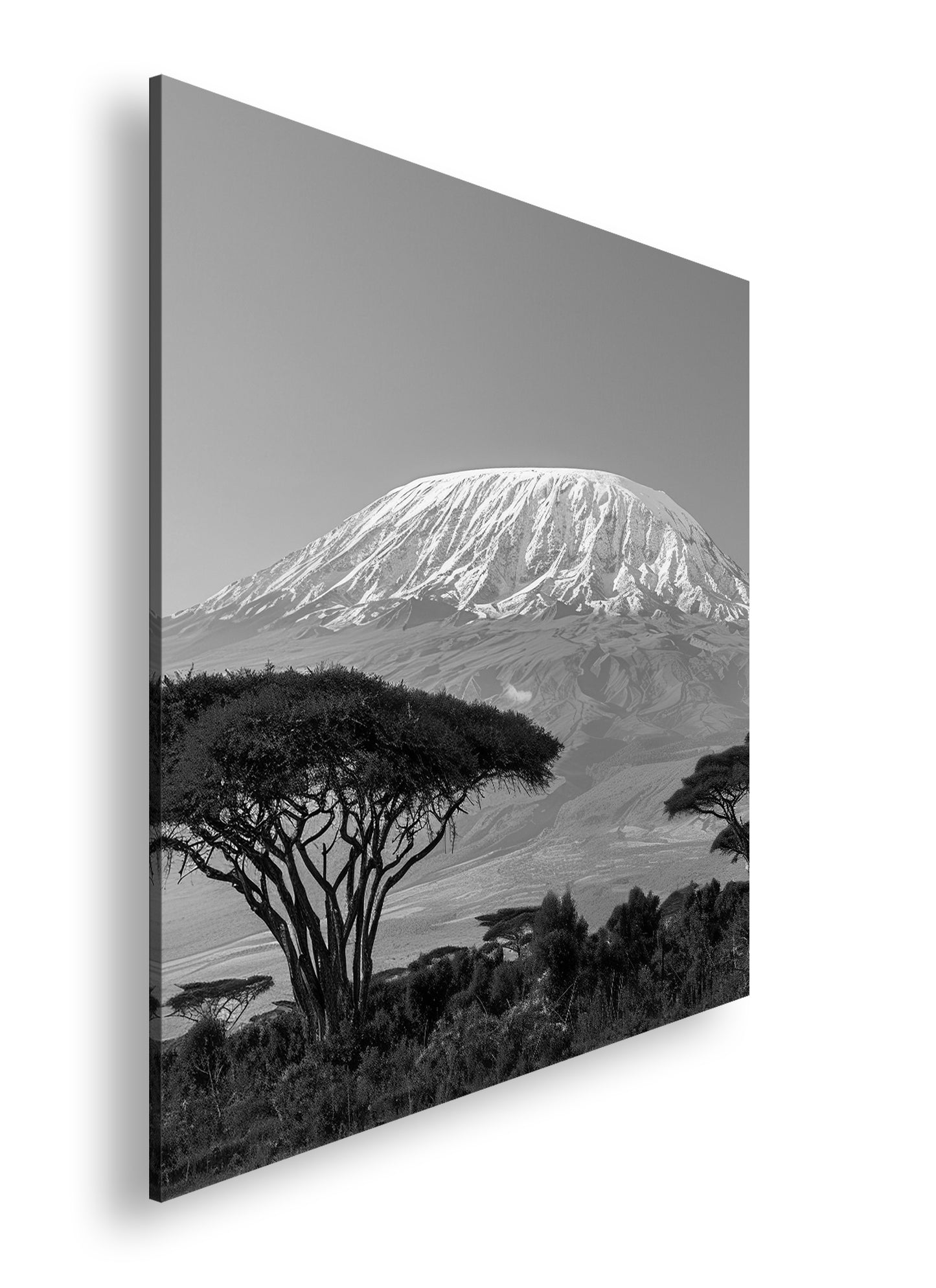 Hauptbild Schwarz & Weiß Quadratisch