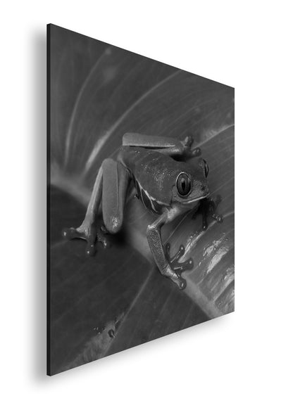 Hauptbild Schwarz & Weiß Quadratisch