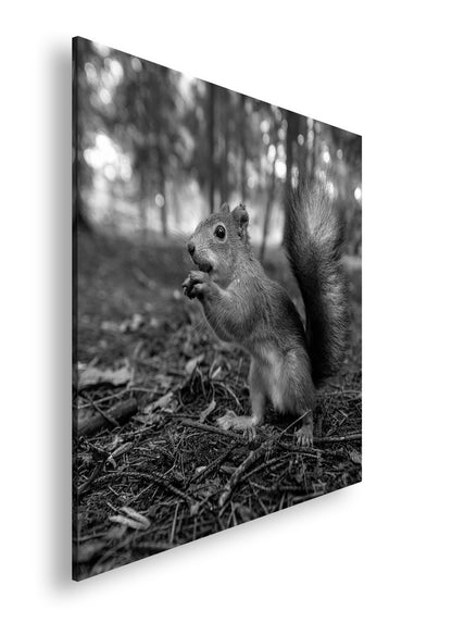 Hauptbild Schwarz & Weiß Quadratisch