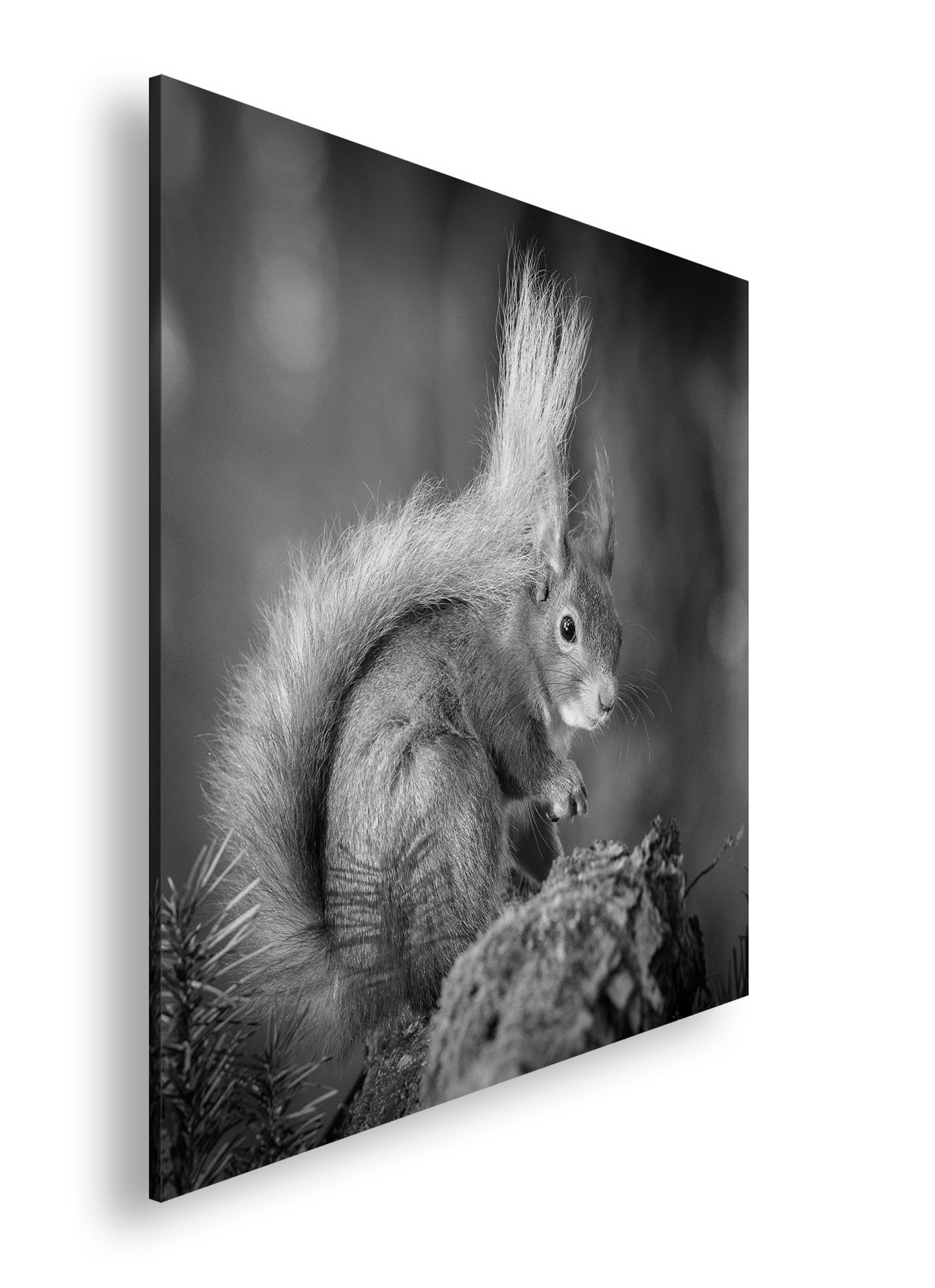 Hauptbild Schwarz & Weiß Quadratisch