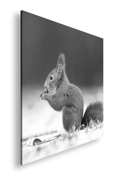 Hauptbild Schwarz & Weiß Quadratisch