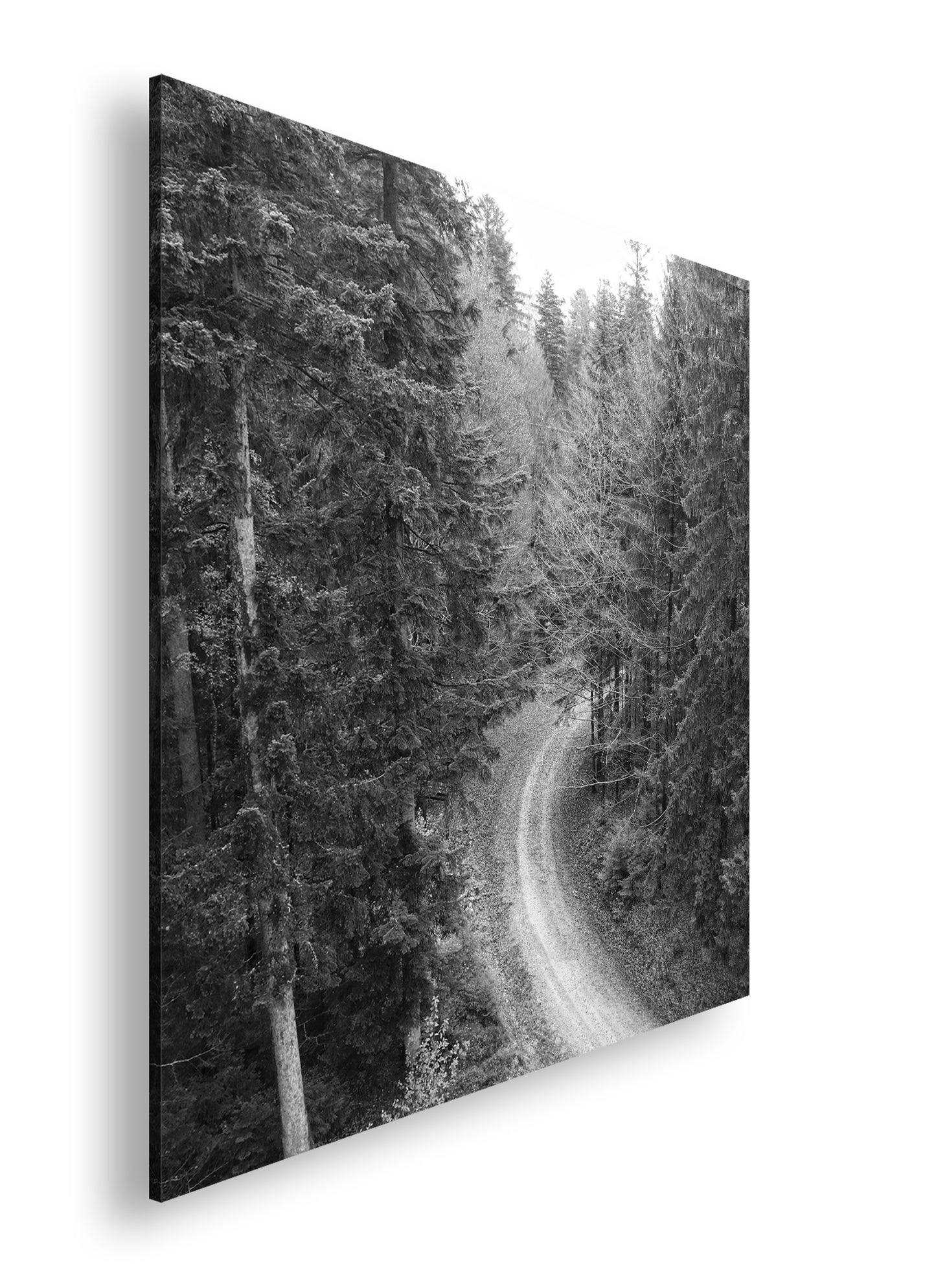 Hauptbild Schwarz & Weiß Quadratisch