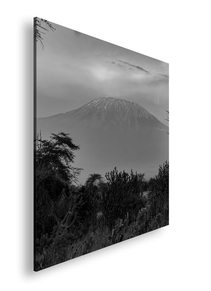 Hauptbild Schwarz & Weiß Quadratisch