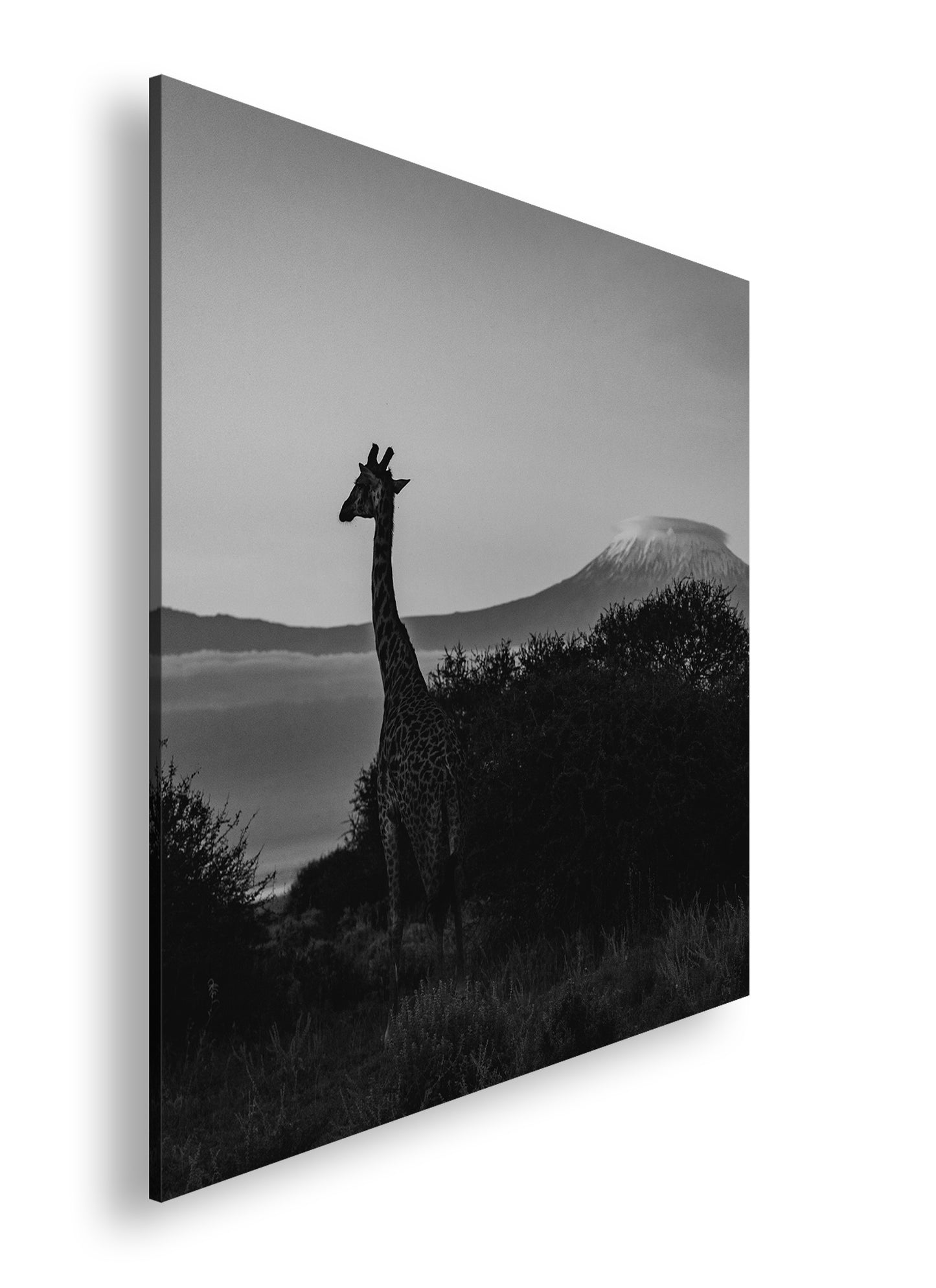 Hauptbild Schwarz & Weiß Quadratisch