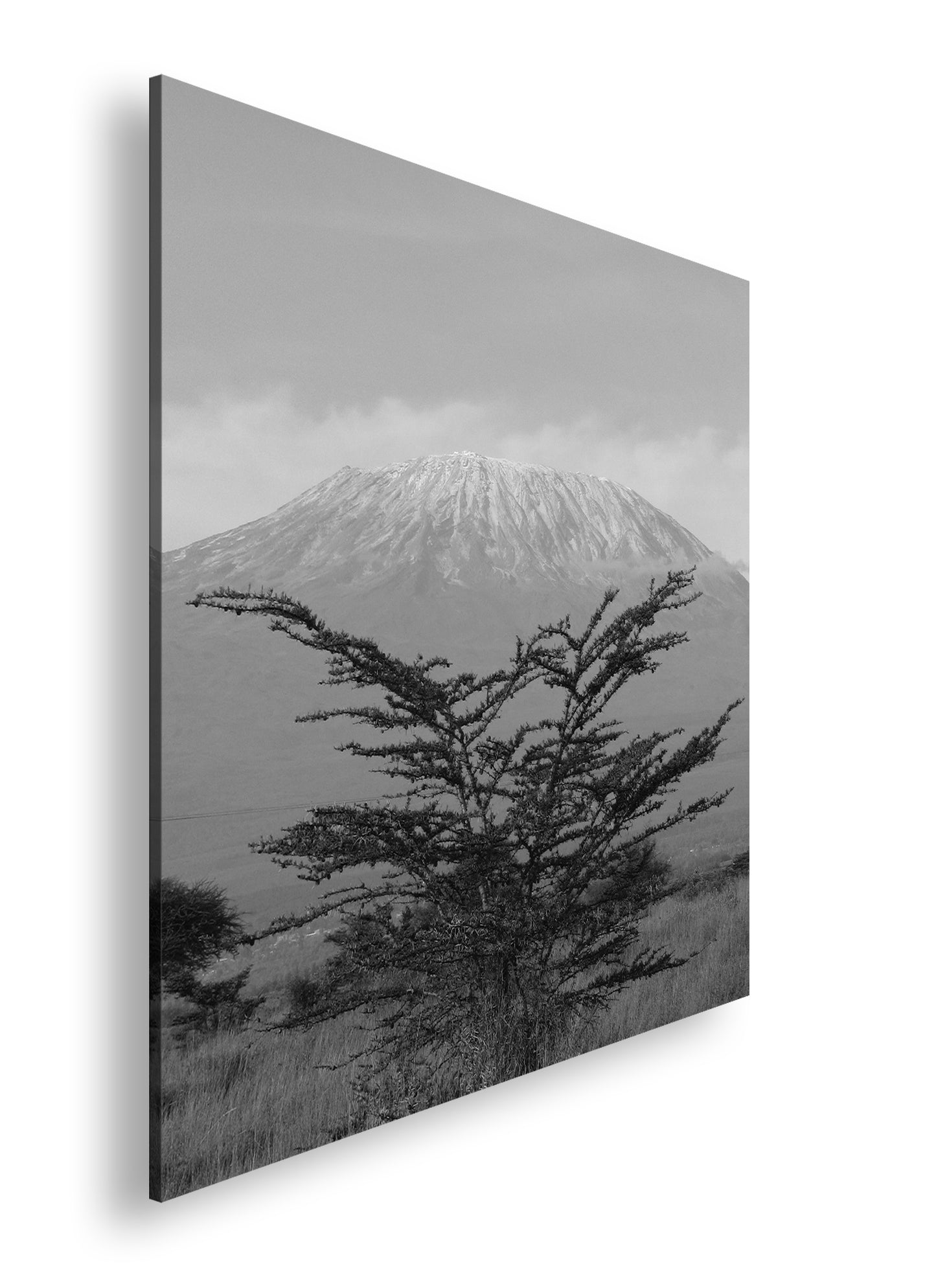 Hauptbild Schwarz & Weiß Quadratisch