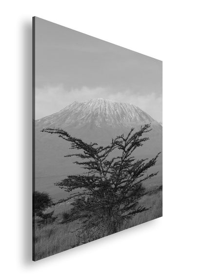 Hauptbild Schwarz & Weiß Quadratisch