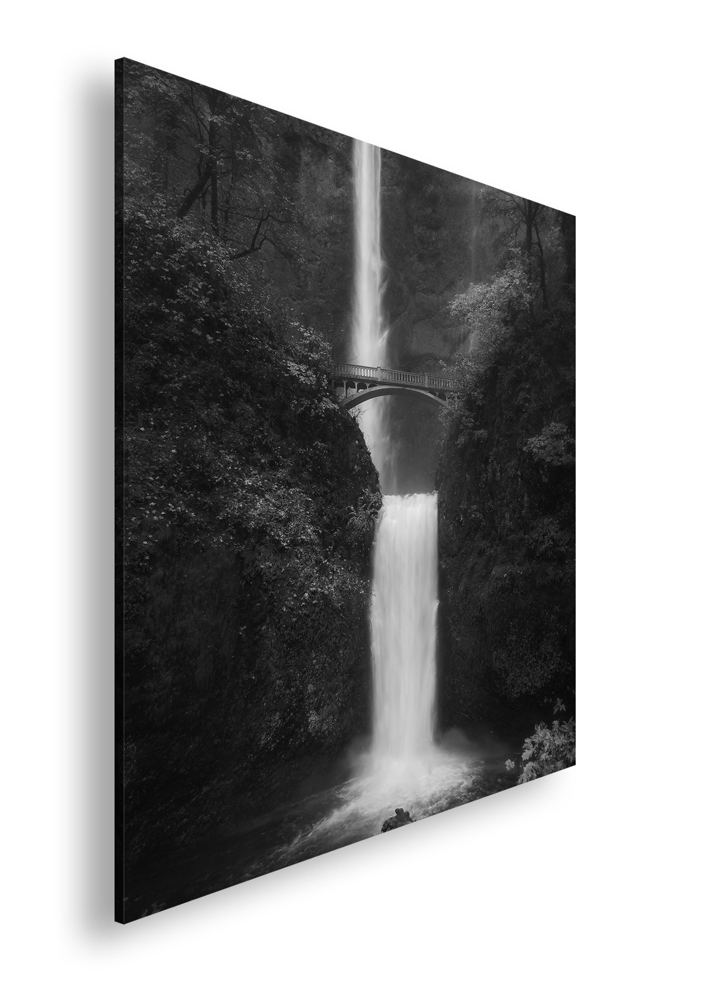 Hauptbild Schwarz & Weiß Quadratisch