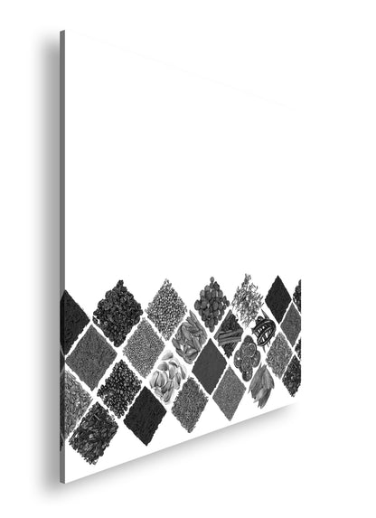 Hauptbild Schwarz & Weiß Quadratisch