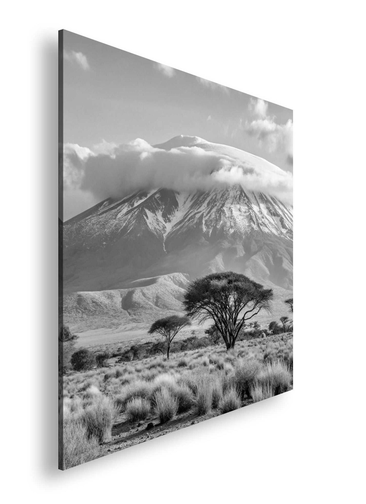 Hauptbild Schwarz & Weiß Quadratisch