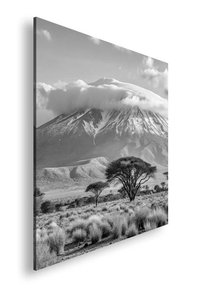 Hauptbild Schwarz & Weiß Quadratisch