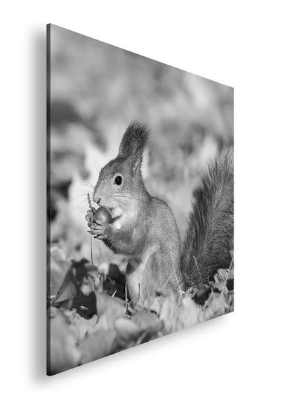 Hauptbild Schwarz & Weiß Quadratisch