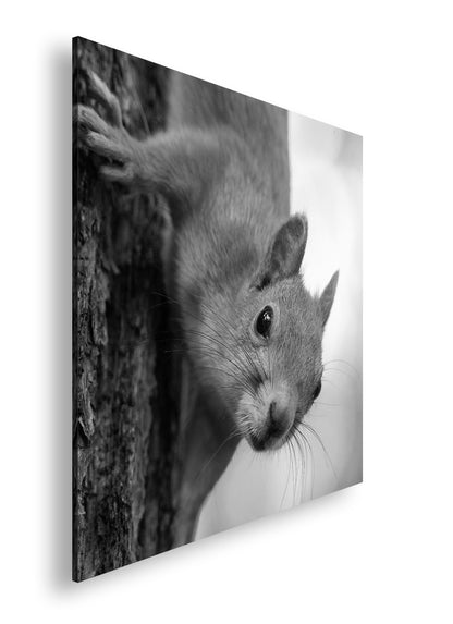 Hauptbild Schwarz & Weiß Quadratisch