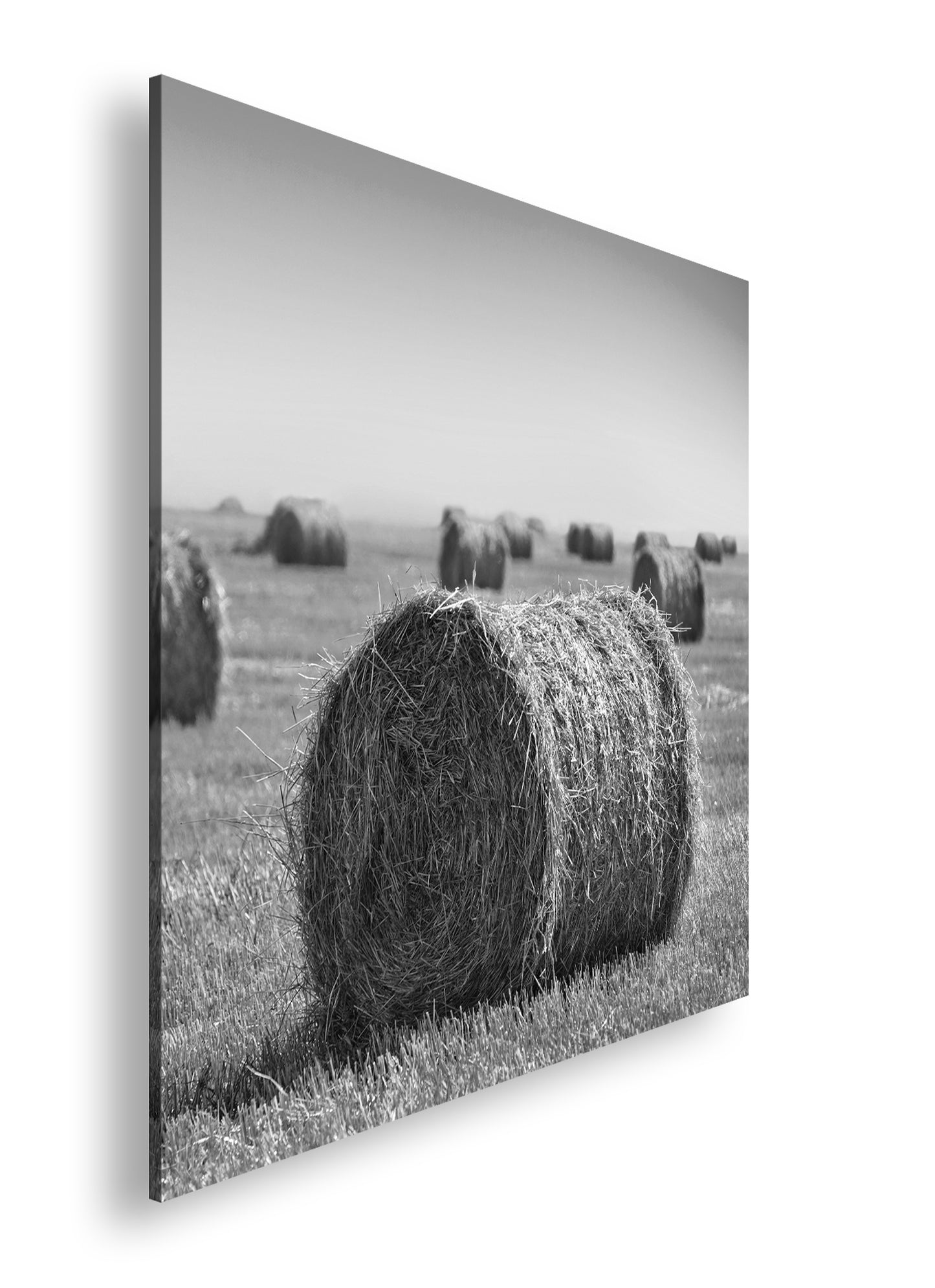 Hauptbild Schwarz & Weiß Quadratisch