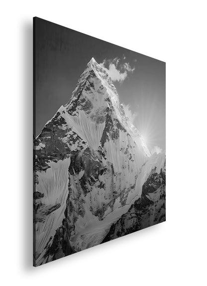 Hauptbild Schwarz & Weiß Quadratisch